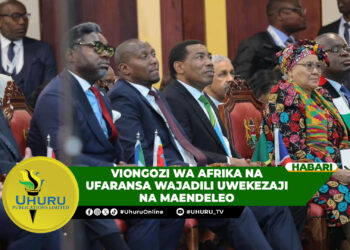 VIONGOZI WA AFRIKA NA UFARANSA WAJADILI UWEKEZAJI NA MAENDELEO