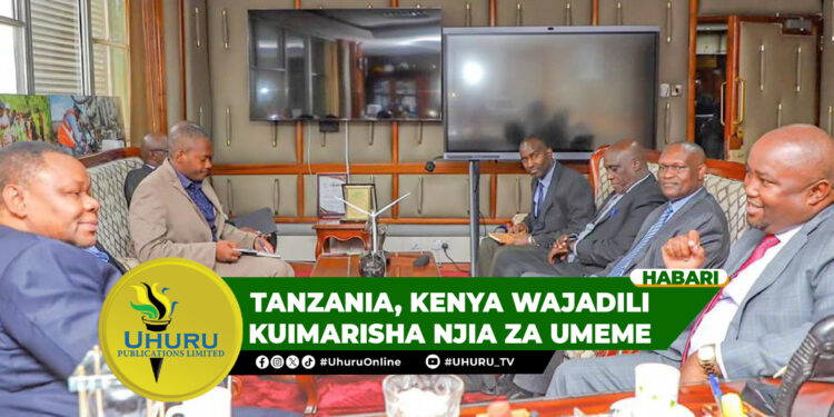 TANZANIA, KENYA WAJADILI KUIMARISHA NJIA ZA UMEME