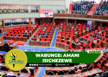 WABUNGE: AMANI ISICHEZEWE