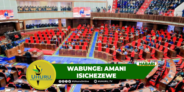 WABUNGE: AMANI ISICHEZEWE