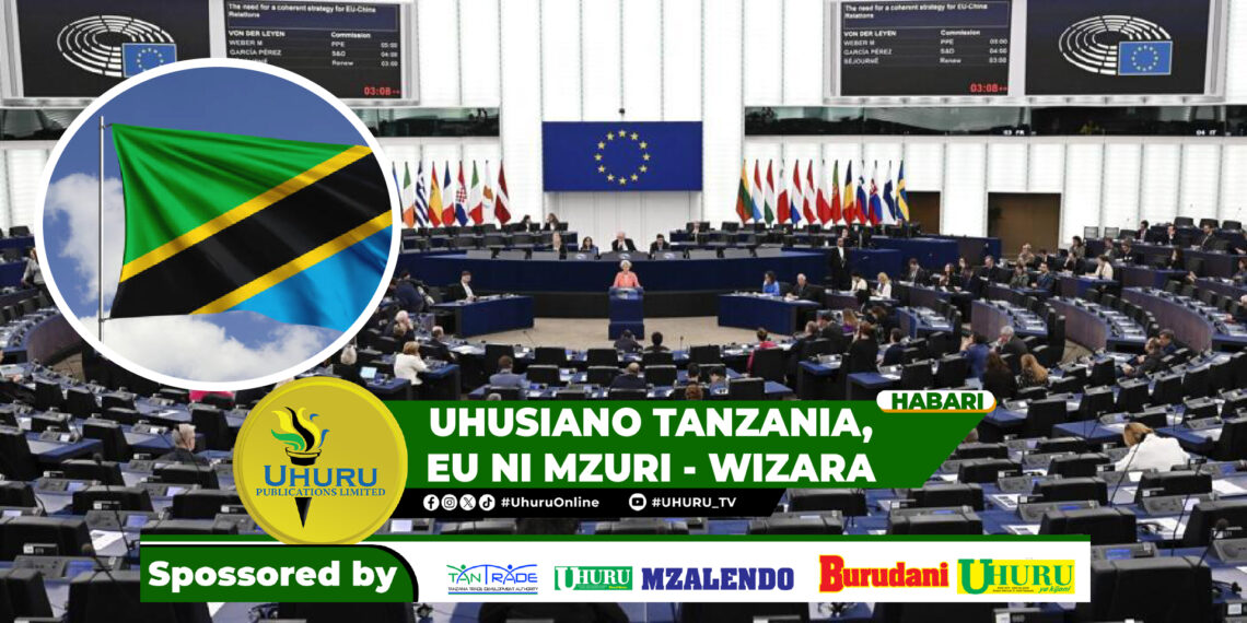 UHUSIANO TANZANIA, EU NI MZURI – WIZARA