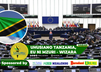 UHUSIANO TANZANIA, EU NI MZURI – WIZARA