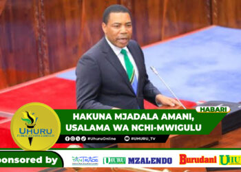 HAKUNA MJADALA AMANI, USALAMA WA NCHI-MWIGULU
