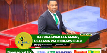 HAKUNA MJADALA AMANI, USALAMA WA NCHI-MWIGULU