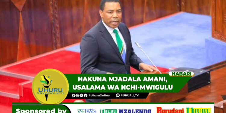 HAKUNA MJADALA AMANI, USALAMA WA NCHI-MWIGULU