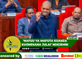 ‘NAFUU YA MAFUTA KUANZA KUONEKANA JULAI’ NDEJEMBI