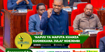‘NAFUU YA MAFUTA KUANZA KUONEKANA JULAI’ NDEJEMBI