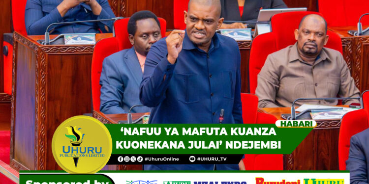 ‘NAFUU YA MAFUTA KUANZA KUONEKANA JULAI’ NDEJEMBI