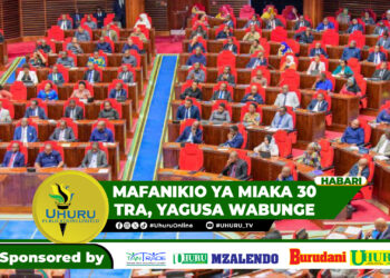 MAFANIKIO YA MIAKA 30 TRA, YAGUSA WABUNGE