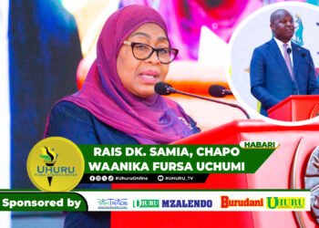 RAIS DK. SAMIA, CHAPO WAANIKA FURSA UCHUMI