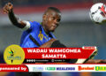WADAU WAMGOMEA SAMATTA