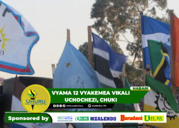 VYAMA 12 VYAKEMEA VIKALI UCHOCHEZI, CHUKI