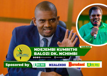 NDEJEMBI KUMRITHI BALOZI DK. NCHIMBI