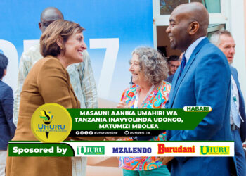 MASAUNI AANIKA UMAHIRI WA TANZANIA INAVYOLINDA UDONGO, MATUMIZI MBOLEA