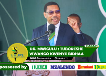 DK. MWIGULU : TUBORESHE VIWANGO KWENYE BIDHAA
