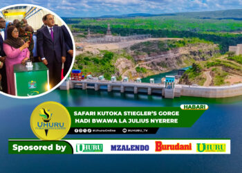 SAFARI KUTOKA STIEGLER’S GORGE HADI BWAWA LA JULIUS NYERERE