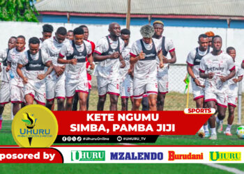 KETE NGUMU SIMBA, PAMBA JIJI  