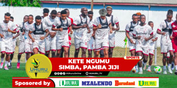 KETE NGUMU SIMBA, PAMBA JIJI  