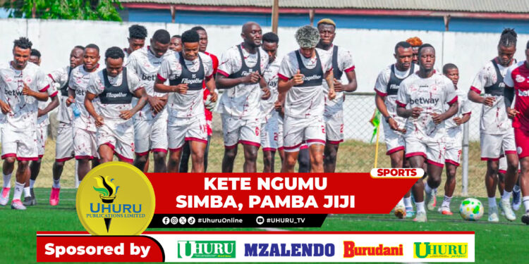 KETE NGUMU SIMBA, PAMBA JIJI