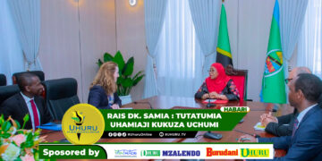 RAIS DK. SAMIA : TUTATUMIA UHAMIAJI KUKUZA UCHUMI