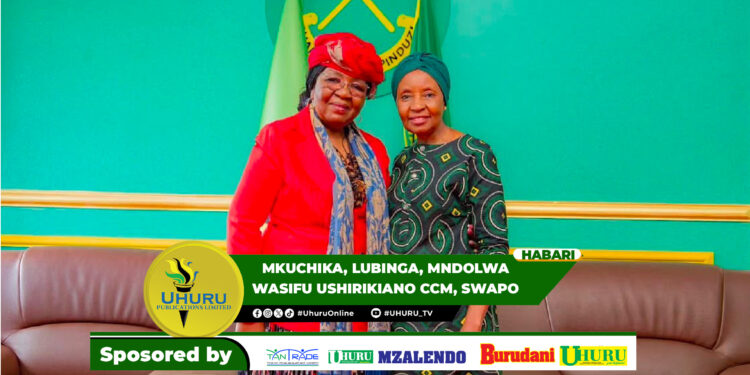 MKUCHIKA, LUBINGA, MNDOLWA WASIFU USHIRIKIANO CCM, SWAPO