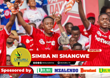SIMBA NI SHANGWE