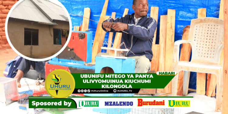 UBUNIFU MITEGO YA PANYA ULIVYOMUINUA KIUCHUMI KILONGOLA