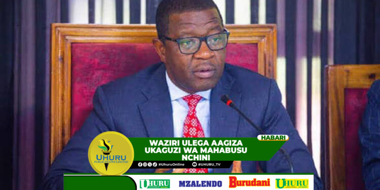 WAZIRI ULEGA AAGIZA UKAGUZI WA MAHABUSU NCHINI
