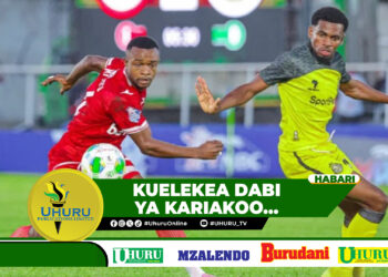 VIGOGO SIMBA MACHO KILA KONA