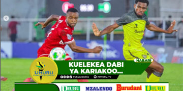 VIGOGO SIMBA MACHO KILA KONA