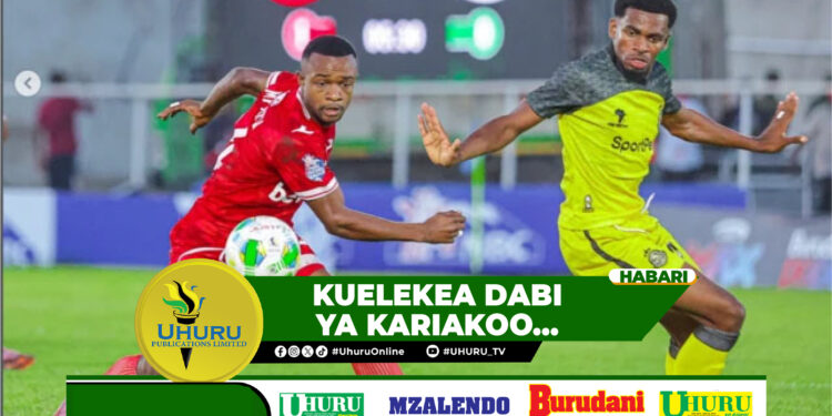 VIGOGO SIMBA MACHO KILA KONA