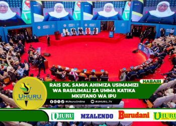 RAIS DK. SAMIA AHIMIZA USIMAMIZI WA RASILIMALI ZA UMMA KATIKA MKUTANO WA IPU