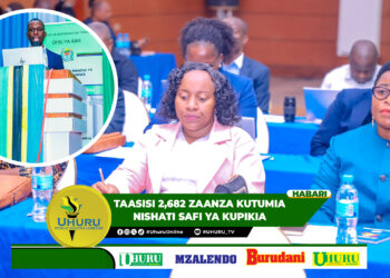 TAASISI 2,682 ZAANZA KUTUMIA NISHATI SAFI YA KUPIKIA, SERIKALI YALENGA TAASISI 30,000