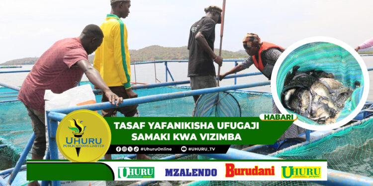 YAFUNGUA FURSA KWA KAYA MASKINI